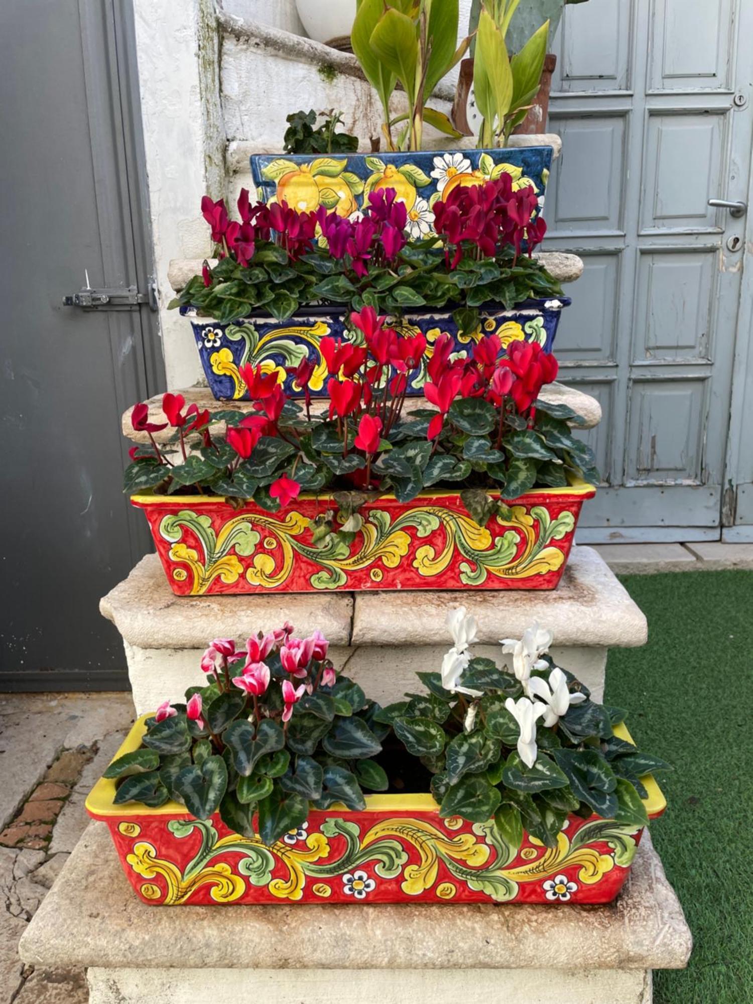 Palazzo Siena De Facendis Bed and Breakfast Bitonto Εξωτερικό φωτογραφία